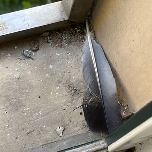 jizzjizzxxx女奥特曼jizzwwww
