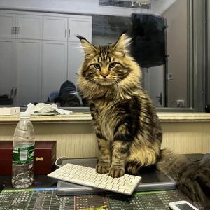 jizzjizzxxx女奥特曼jizzwwww
